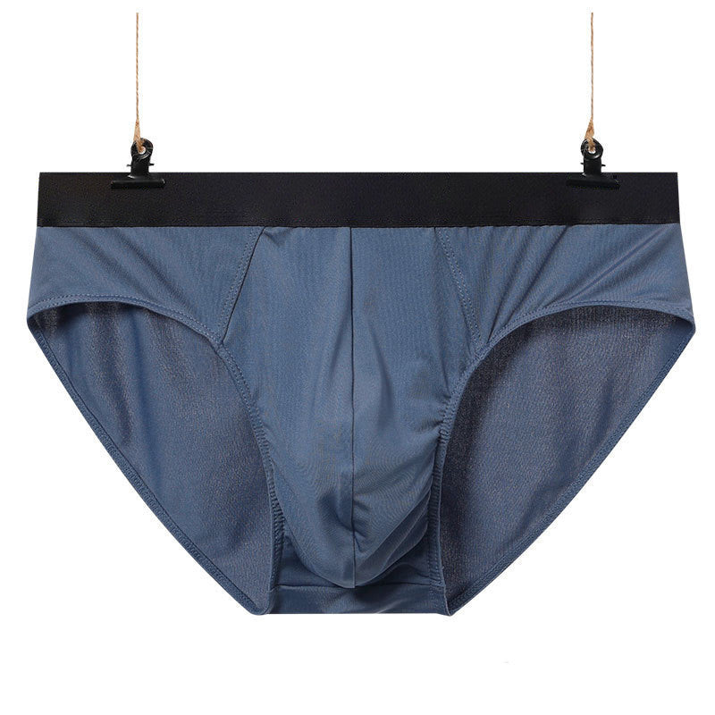 Men’s Summer Briefs - Purple blue / 2XL - Men’s Briefs