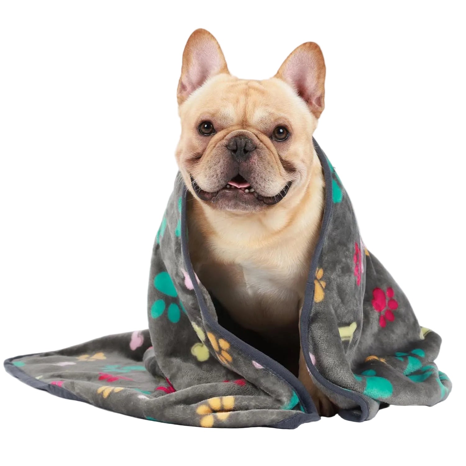 Paw Print Pet Blanket - Soft & Warm