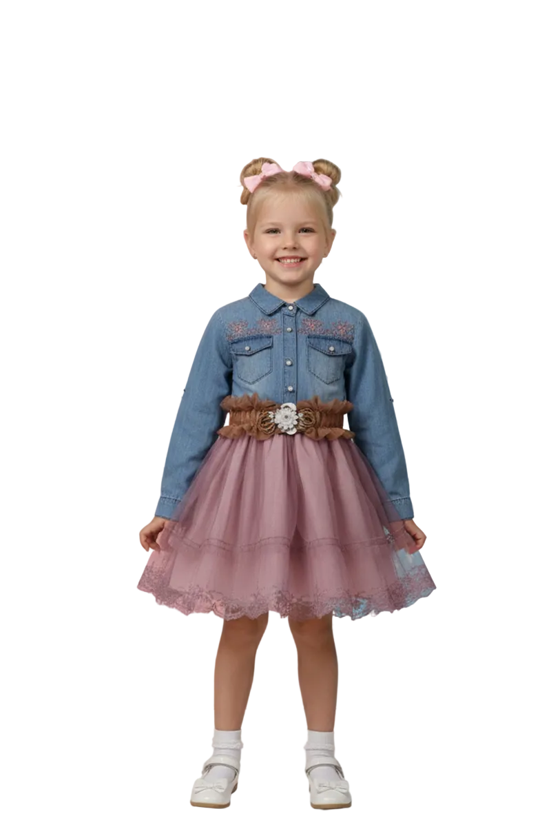 Girl's Floral Embroidered Denim Top & Tulle Skirt Dress
