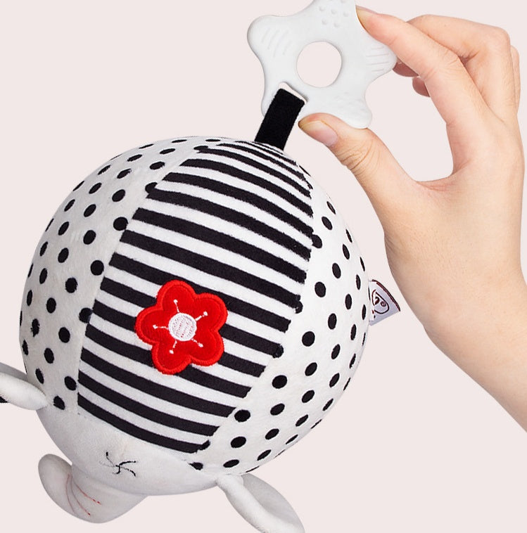 Babies’ Visual Training Black And White Balls - Babies’ Black And White Balls