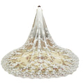 Bridal Lace Veil Embroidered Wedding Veil - Ivory / 300x250cm - Bridal Lace Veil