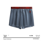 Men’s Boxer Briefs - Blue / L - Men’s shorts